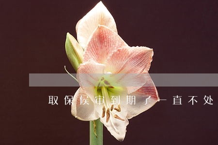 取保候审到期了一直不处理 取保候审到期了一直不处理