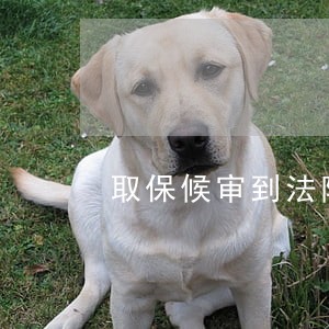 取保候审到法院判刑多长时间 取保候审到法院判刑多长时间