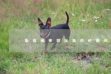 取保候审可以去办护照吗 取保候审可以去办护照吗