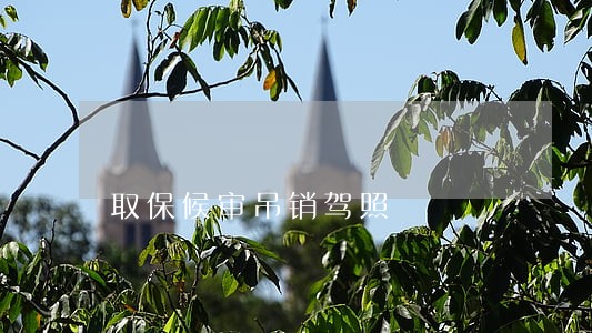 取保候审吊销驾照 取保候审吊销驾照