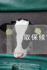 取保候审后一年突然传唤 取保候审后一年突然传唤