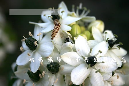 取保候审后不再犯罪会怎样