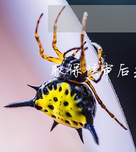 取保候审后去派出所干 取保候审后去派出所干