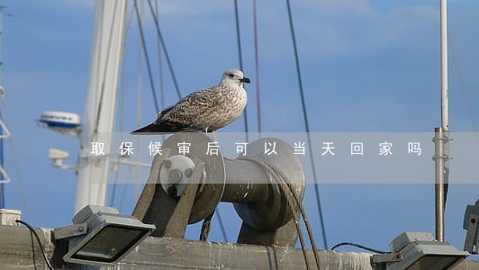 取保候审后可以当天回家吗 取保候审后可以当天回家吗