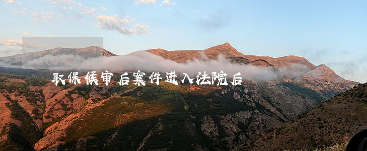 取保候审后案件进入法院后