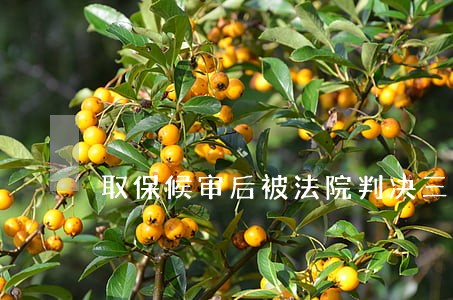 取保候审后被法院判决三个月拘役