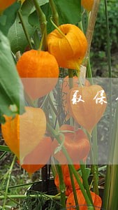 取保候审哪不能去 取保候审哪不能去