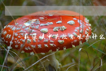 取保候审失败意味着什么