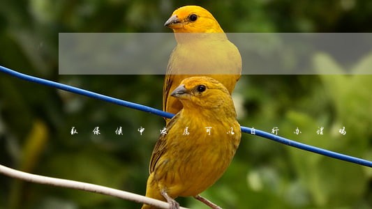 取保候审家属可以自行办理吗