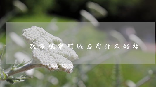 取保候审对以后有什么好处 取保候审对以后有什么好处