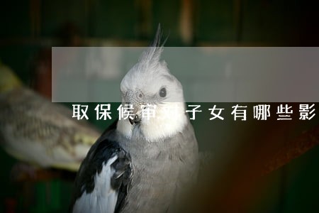 取保候审对子女有哪些影响 取保候审对子女有哪些影响