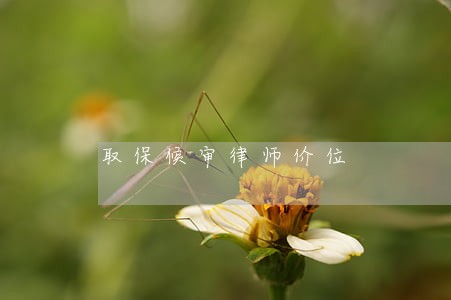 取保候审律师价位 取保候审律师价位