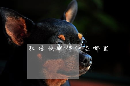 取保候审律师在哪里 取保候审律师在哪里