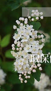 取保候审律师是先收费吗 取保候审律师是先收费吗