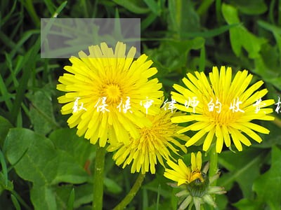 取保候审律师的收费标准 取保候审律师的收费标准
