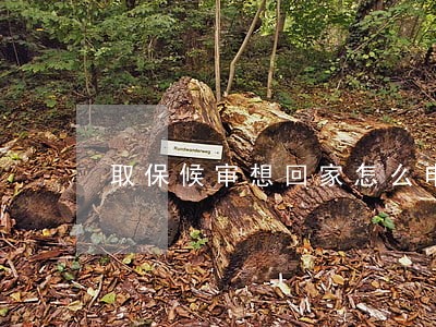 取保候审想回家怎么申请 取保候审想回家怎么申请