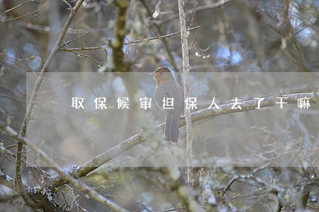 取保候审担保人去了干嘛 取保候审担保人去了干嘛