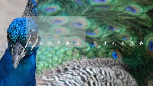取保候审拖延一段时间去报到