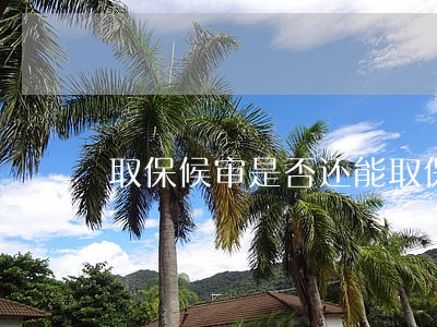 取保候审是否还能取保 取保候审是否还能取保