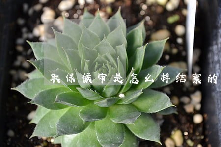 取保候审是怎么样结案的 取保候审是怎么样结案的