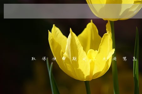 取保候审期间二次酒驾怎么办 取保候审期间二次酒驾怎么办