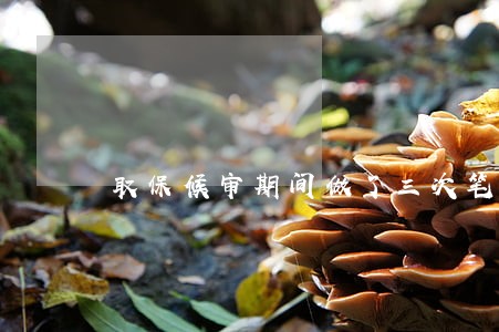 取保候审期间做了三次笔录 取保候审期间做了三次笔录