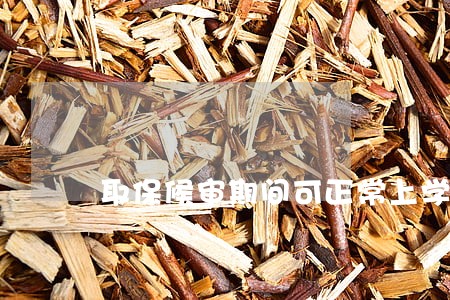 取保候审期间可正常上学吗 取保候审期间可正常上学吗