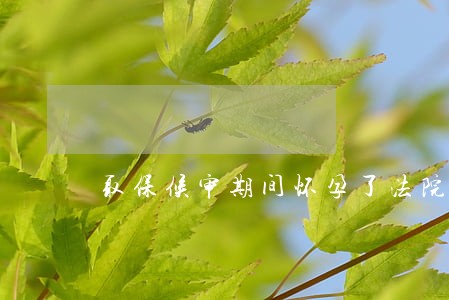 取保候审期间怀孕了法院判刑了