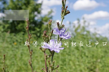 取保候审期间能否迁户口 取保候审期间能否迁户口