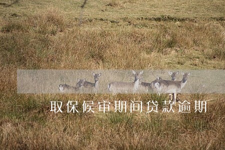 取保候审期间贷款逾期 取保候审期间贷款逾期