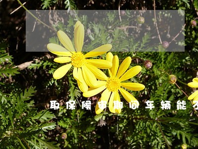 取保候审期间车辆能不能过户 取保候审期间车辆能不能过户