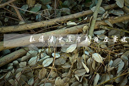 取保候审没有判现在要收监吗 取保候审没有判现在要收监吗