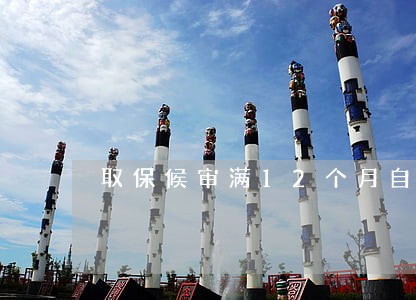 取保候审满12个月自动取消 取保候审满12个月自动取消