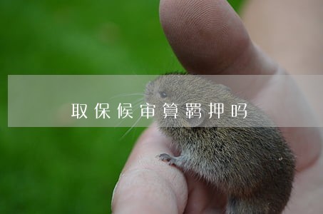 取保候审算羁押吗