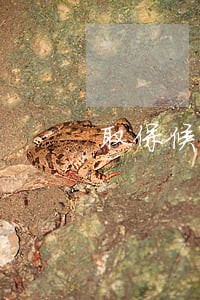取保候审要亲人去办理吗 取保候审要亲人去办理吗