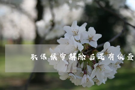 取保候审解除后还有侦查吗 取保候审解除后还有侦查吗