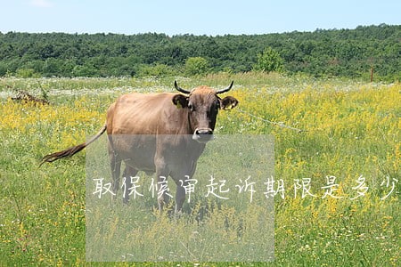 取保候审起诉期限是多少天 取保候审起诉期限是多少天