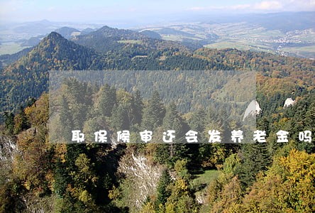 取保候审还会发养老金吗 取保候审还会发养老金吗