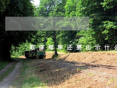 取保候审还要出示什么证件 取保候审还要出示什么证件