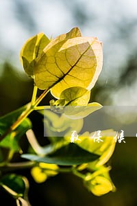 取保候审退赃是怎样算的 取保候审退赃是怎样算的
