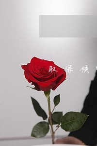取保候审需要多少钱请律师 取保候审需要多少钱请律师