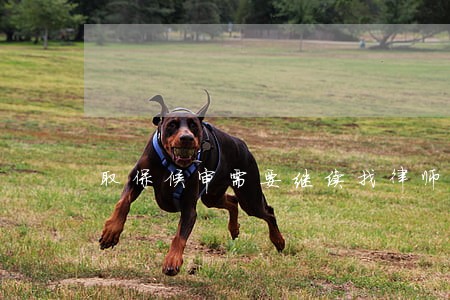 取保候审需要继续找律师吗 取保候审需要继续找律师吗