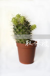 取保被法院收监了 取保被法院收监了