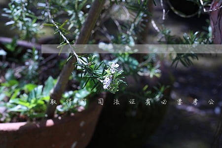 取得了司法证有必要考公务员 取得了司法证有必要考公务员
