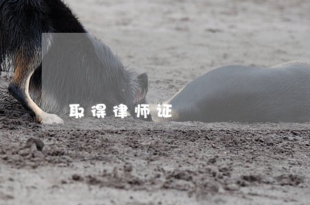取得律师证 取得律师证