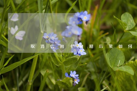 取消信用卡逾期后果如何