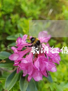 取消征信逾期怎么和银行沟通 取消征信逾期怎么和银行沟通