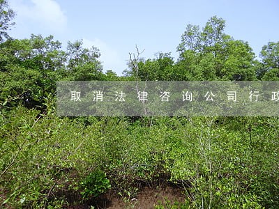 取消法律咨询公司行政审批 取消法律咨询公司行政审批
