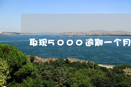 取现5000逾期一个月利息多少 取现5000逾期一个月利息多少