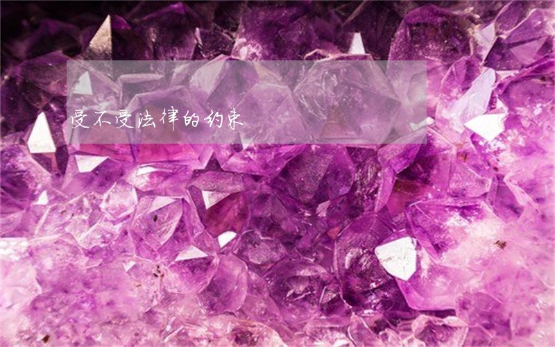 受不受法律的约束 受不受法律的约束